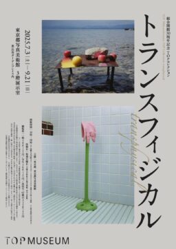 トランスフィジカル