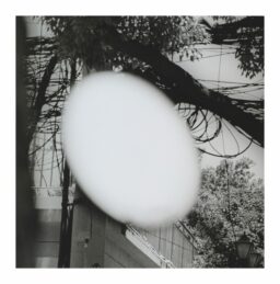 Yuki Onodera « Scatter Points » No.11