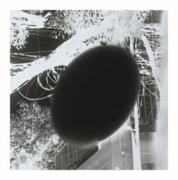 Yuki Onodera « Scatter Points » No.12